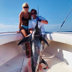 Meet your Posher, Ellie